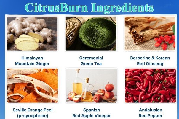 Citrusburn Ingredients