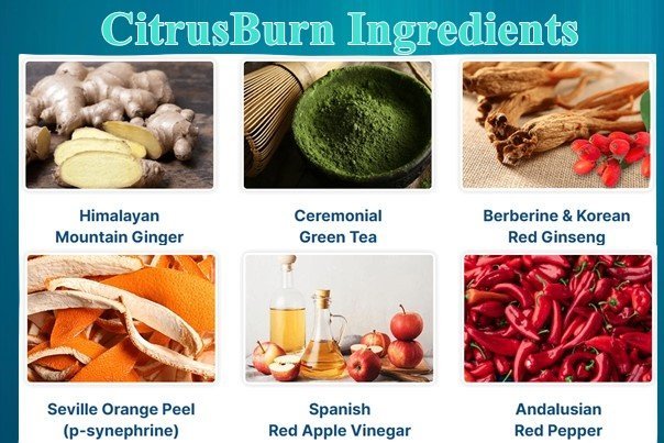 Citrusburn Ingredients